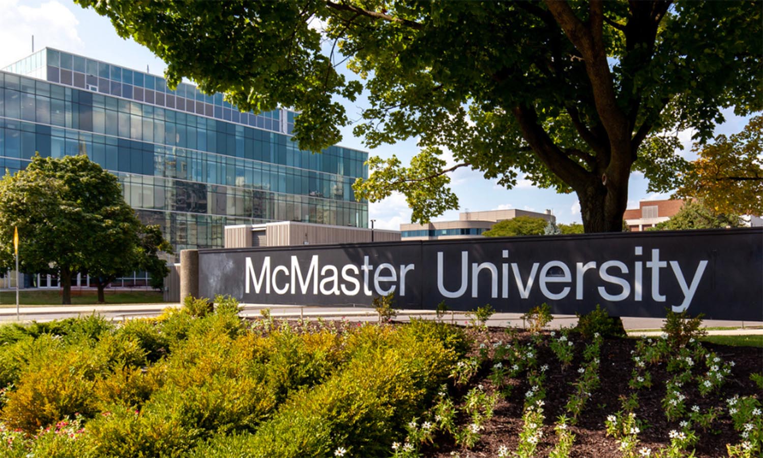 Đại học McMaster thuộc top 4 trường đại học hàng đầu của Canada và nằm trong số 100 trường đại học tốt nhất thế giới theo báo cáo mới nhất Đại học McMaster thuộc top 4 trường đại học hàng đầu của Canada và nằm trong số 100 trường đại học tốt nhất thế giới theo báo cáo mới nhất