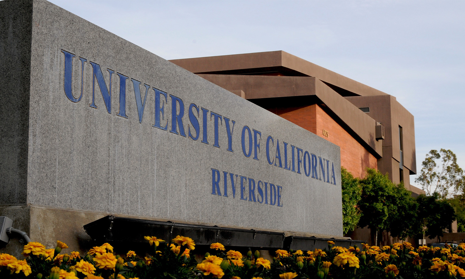 Đại học California Riverside là một trong những trường đại học hàng đầu tại Mỹ Đại học California Riverside là một trong những trường đại học hàng đầu tại Mỹ